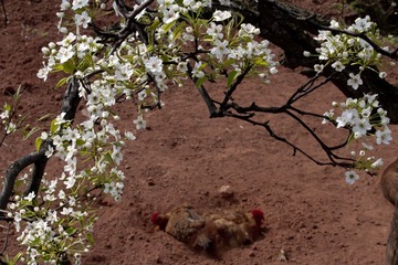 IMG_3789.jpg
