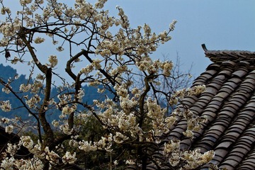 IMG_3367.jpg