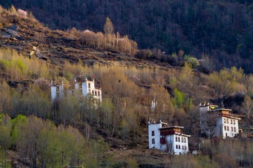 IMG_4290.jpg
