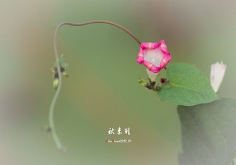 IMG_7292.jpg