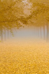IMG_7911.jpg