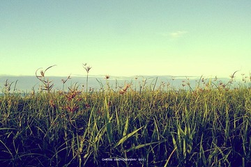 201108131033_2