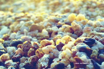 201108131055_2