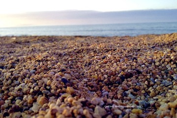 201108131056_2