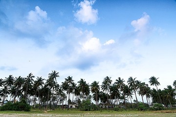 未命名-17.jpg