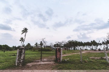 未命名-24.jpg
