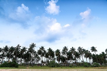 未命名-25.jpg