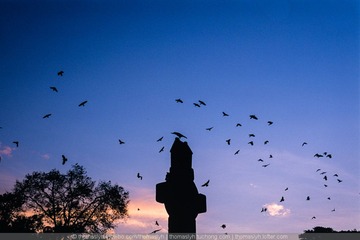 未命名-82.jpg
