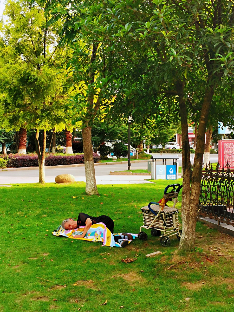 老人睡公园什么情况