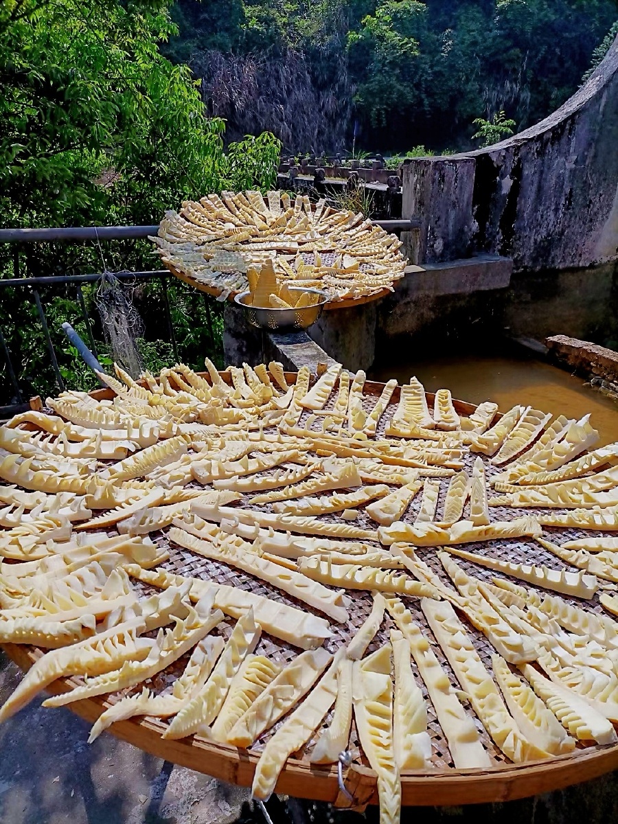 #晒笋干 - 豪情满怀 - 图虫