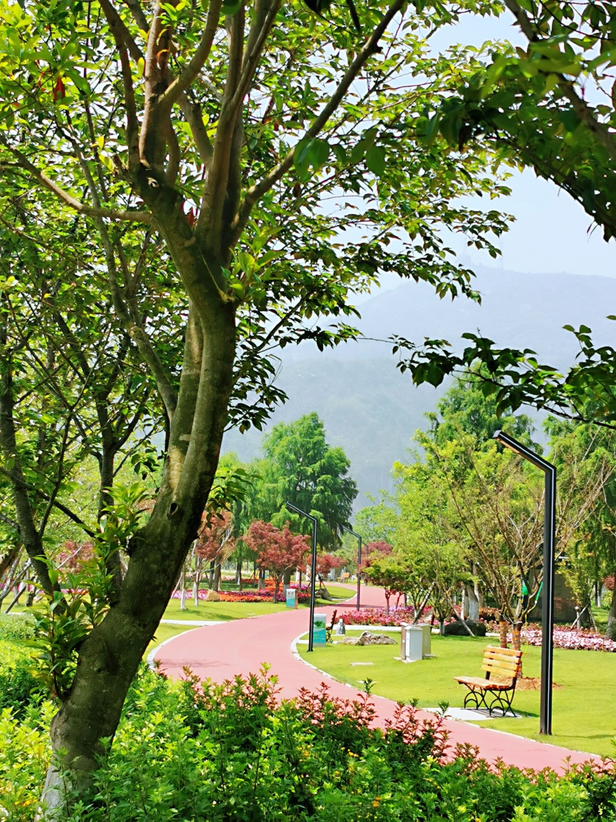 900_1200竖版 竖屏