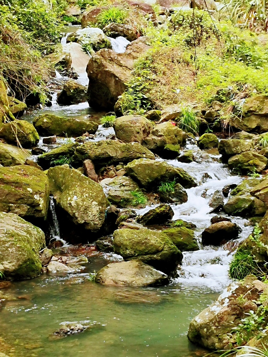 溪流