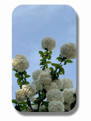 63CCF725-31F9-4F1D-AB1A-A11CEC063A75/L0/001