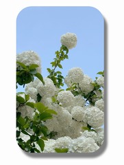 407459B8-94C1-42EB-A0B4-8923D3D15236/L0/001