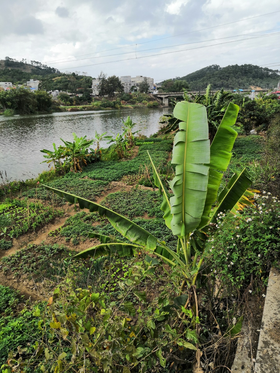 广西钦州市小董镇江边