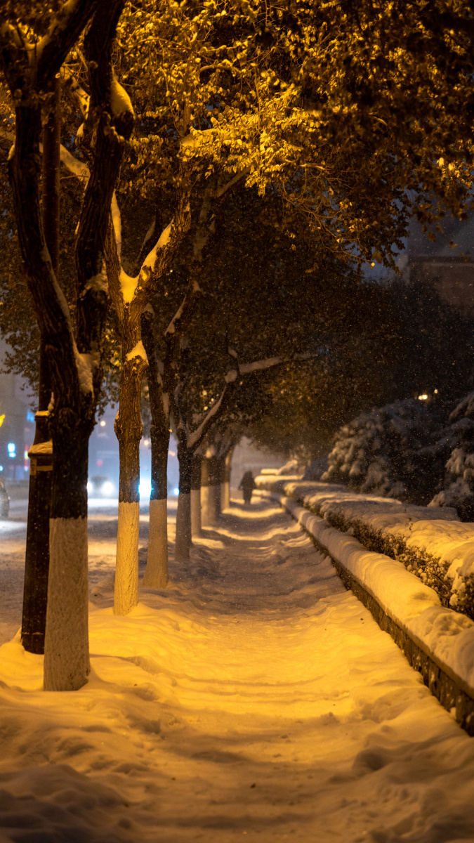 雪中的盛京城街道