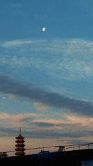 FA3C0496-C8EA-49E4-9156-E0735D7EF3D6/L0/001