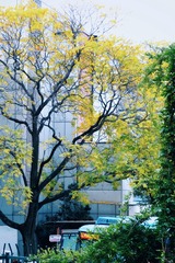 F5AE3596-0A39-43EC-B7FF-334398F96365/L0/001