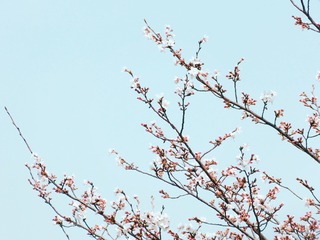 9D5AB8B1-E597-4C97-9B5F-833BD964864A/L0/001