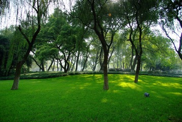 IMGP7846.jpg