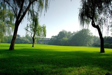 IMGP7844.jpg