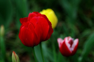 IMGP3028.jpg