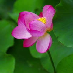 IMGP0542.JPG
