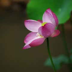 IMGP0563.JPG