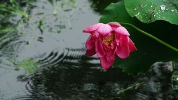 IMGP0490.JPG