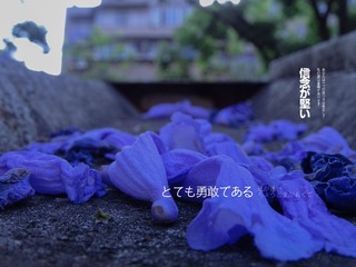 4707166