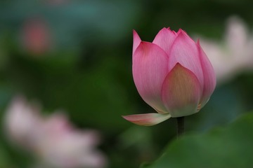 110450