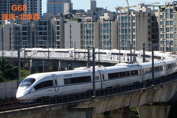 54083