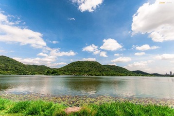 DSC_6817.jpg