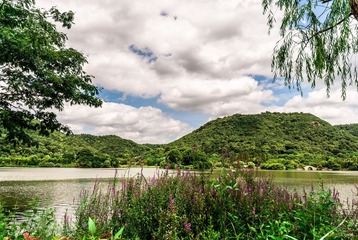 DSC_6854.jpg