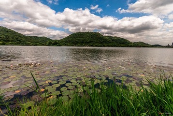DSC_6863.jpg