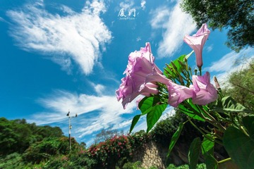 DSC_0011.jpg