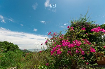 DSC_0034.jpg