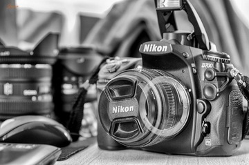 DSC_0495-2 (2).jpg