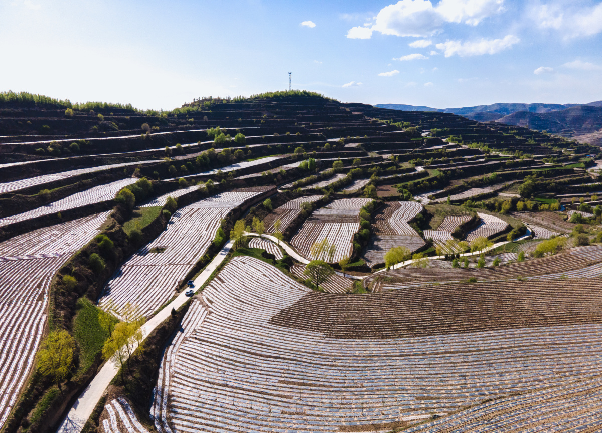 庄浪梯田还是看赵墩