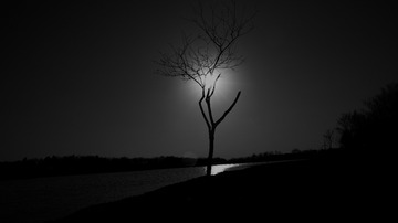D00B37B3-F073-4CE8-95A8-D89FA327D008/L0/001