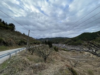 AE4339AD-A6CC-47F7-A28D-D051253602CF/L0/001