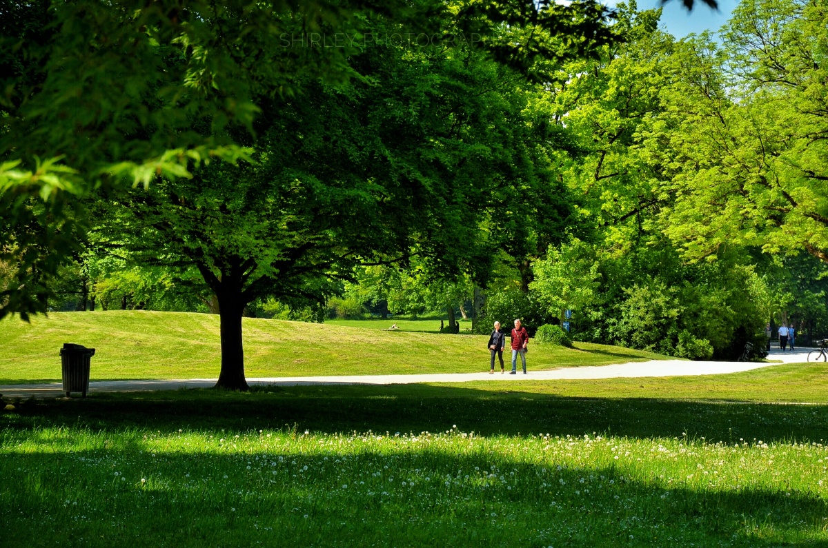 欧洲最大的城市花园,位于德国的英国花园,里面有一座中国塔.
