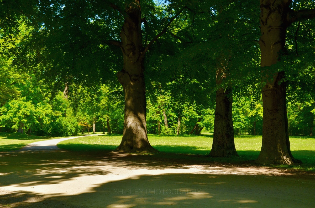 绿树成荫,风景如画