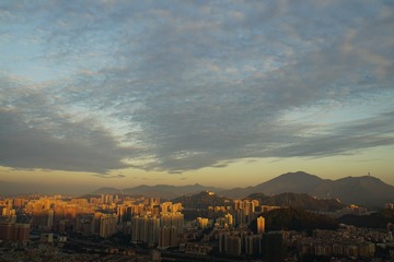 DSC09515_