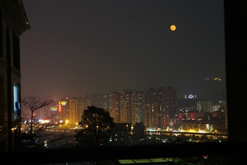 DSC08867_