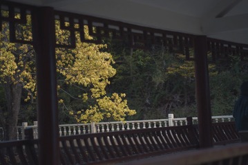 BDCED0A7-E710-4DB4-813D-58479E2E4E68/L0/001