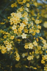 7E19A3C0-A925-439D-945B-9009A455793F/L0/001