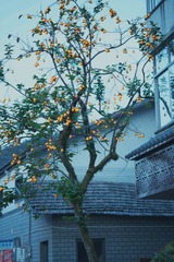 9E6F2C32-48B9-42BA-BE45-8B175F01DFAF/L0/001