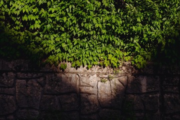 1000062753