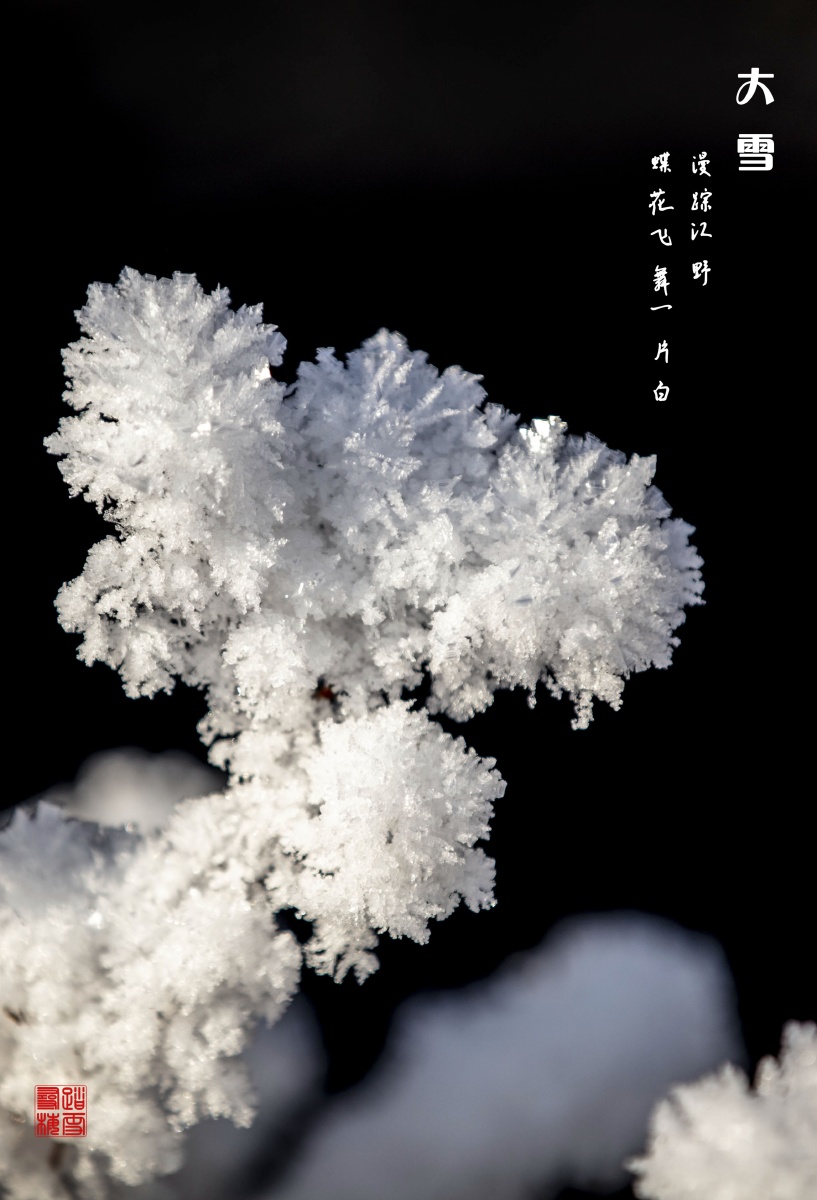 雪花